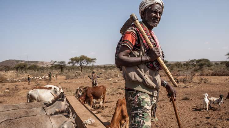 Ein Mann steht mit seinem Vieh an einem Brunnen in Äthiopien.