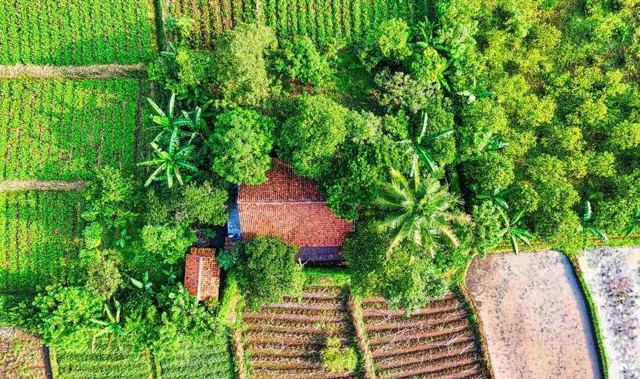 Agrarland von oben, Indonesien.