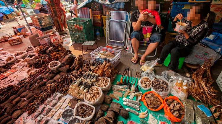 Stand auf dem Wildtiermarkt in Mong La, Myanmar.