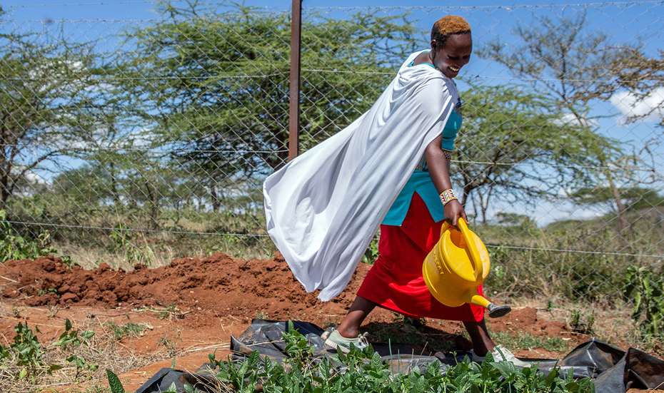 Eine kenianische Frau bewässert Pflanzen