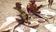Frauen sortieren Kakaobohnen