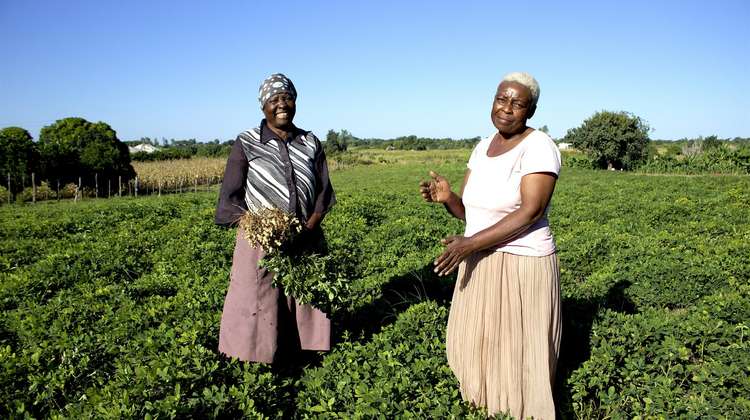 Sarah und Agnes Mpatsi zeigen stolz ihre Erdnussernte.