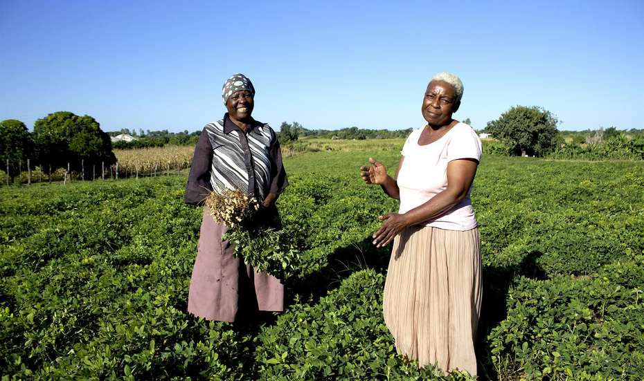 Sarah und Agnes Mpatsi zeigen stolz ihre Erdnussernte.