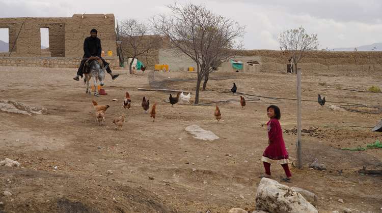 Ein Mädchen in einem roten Kleid lächelt in die Kamera, im Hintergrund sieht man Hühner, einen Mann auf einem Esel und eine Hausruine.