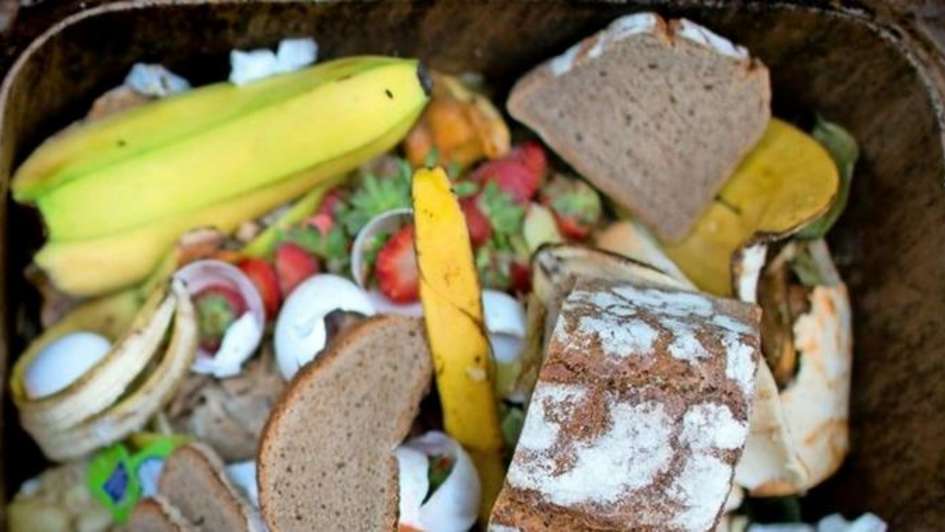 Abbildung von Lebensmitteln wie Bananen und Brot in einer Mülltonne. Zahlreiche Lebensmittel landen täglich im Müll. Es reicht mit der Lebensmittelverschwendung!