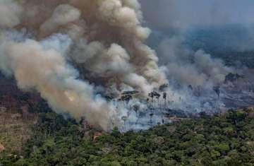 Rauch steigt von einem Brandherd im Amazonas auf.