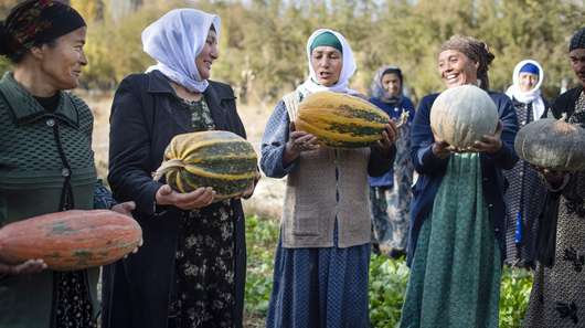 Gemüsegärten helfen den Menschen, sich selbst versorgen zu können - jetzt helfen und für Tadschikistan spenden.