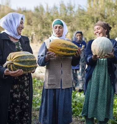 Gemüsegärten helfen den Menschen, sich selbst versorgen zu können - jetzt helfen und für Tadschikistan spenden.