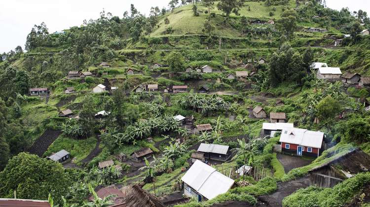 Village in North Kivu, DR Congo