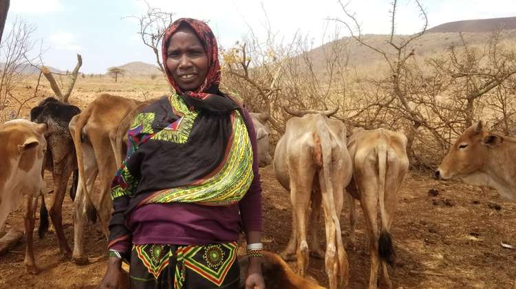 Porträt einer Viehhalterin in Äthiopien