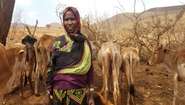 Porträt einer Viehhalterin in Äthiopien