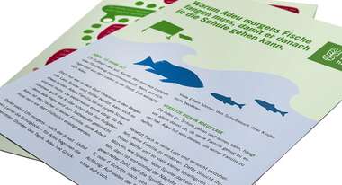 2013 unterrichtsmaterial grundschule faktenblatt aktionsideen hunger