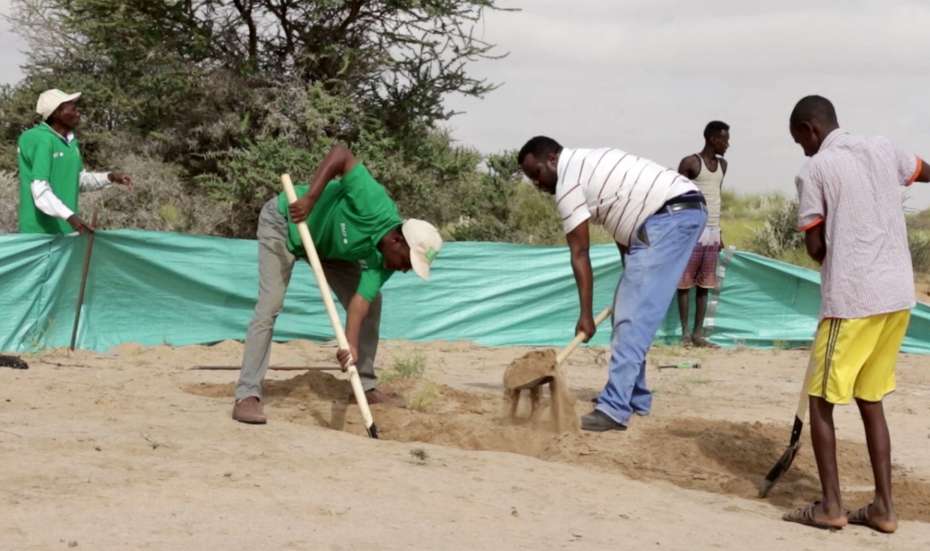 Männer graben ein Loch in den sandigen Boden, im Hintergrund ist ein grüner Fangzaun zu sehen