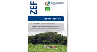 2015-professional-paper-food-based-principle-biomass-zef-welthungerhilfe.jpg