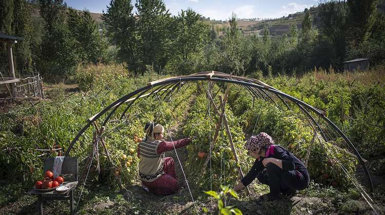 Kleinbäuerinnen stellen auf ressourcenschonende Landwirtschaft um: Jetzt unterstützen und für Tadschikistan spenden.