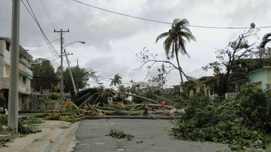 Nach Hurrikan Sandy versperren umgestürzte Bäume die Straßen.