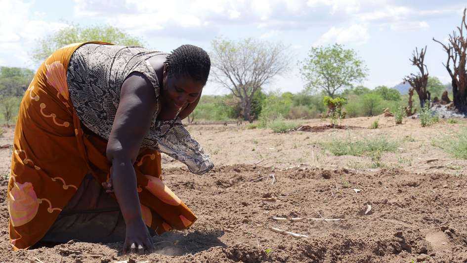 Jenifer Dokali (42) aus dem Chiwalo Village Nahe Mangochi in Malawi ist seit August 2017 Leadfarmerin in ihrem Dorf. Auf ihrem bislang monokulturellen Feld, richtet sie nun auch ein Permakulturfeld an.