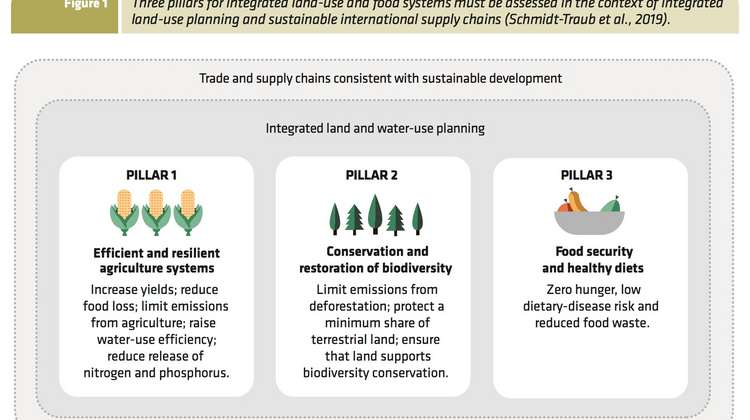 Ein Wegweiser mit drei Säulen zu einem kohärenten Weg, die Landnutzung und Ernährungssysteme des Planeten nachhaltig zu gestalten.