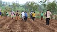 Aussähen der Saat in Burundi auf dem Feld