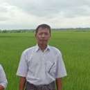 Landwirt*innen auf einem Reisfeld in Myanmar, 2021.