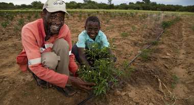 Innocent Chifamba hockt mit einem Jungen auf dem Feld und zeigt glücklich die Chili-Pflanzen