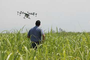 Ein Mann steuert eine Drohne auf einem Feld.