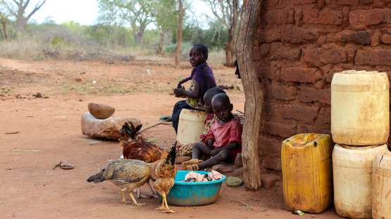 Spenden zu Weihnachten. Bildbeschreibung: Drei Kinder sitzen mit Hühnern vor einem Haus.