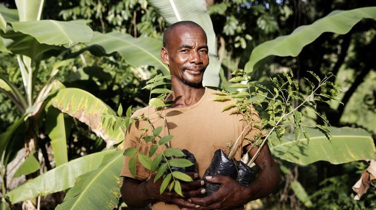 Ein Bauer aus Haiti mit Baumsetzlingen in den Händen