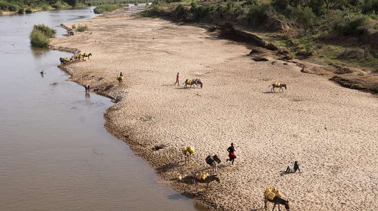Menschen und Esel an einem Fluss in Kitui County, Kenia 2021.
