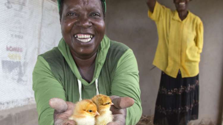 Spenden für Simbabwe - Bild: Fröhliche Frau hält Küken in der Hand