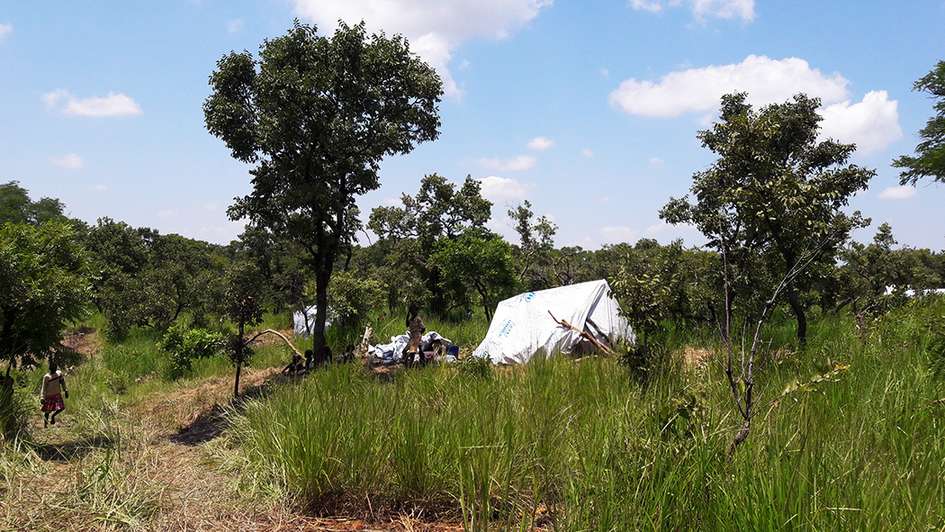 Ein Zelt einer Flüchtlingsfamilie steht inmitten einer Grünfläche.
