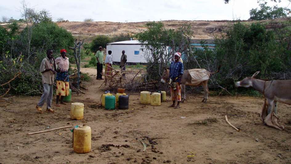 Kenianer stehen mit Vieh und Wasserkanistern auf einem Stück Land.