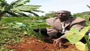 Antoine Kanunda hockt in einem dicht bewachsenen Feld in Burundi.