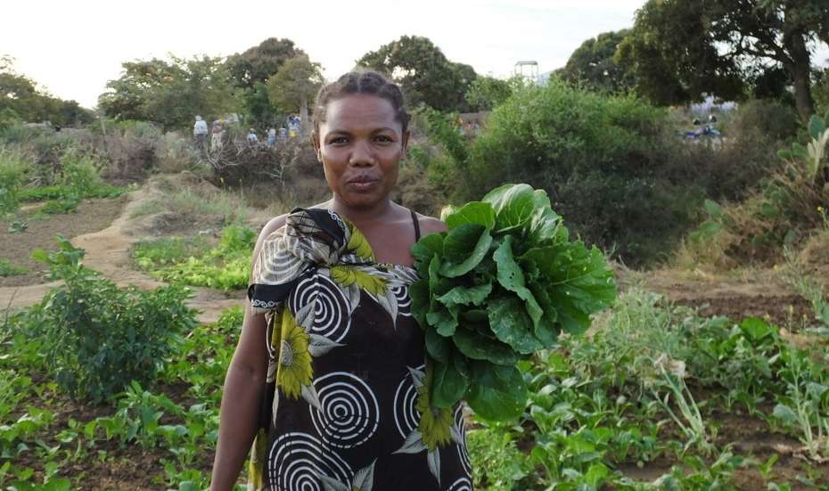 Jetzt für Madagaskar spenden. Bild: Eine Frau steht aufrecht, hat einen Salatkopf in der Hand und schaut in die Kamera.