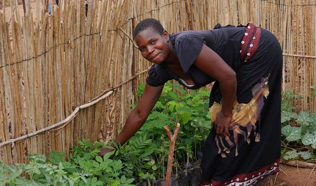 Permakultur, Malawi, Frau im Garten
