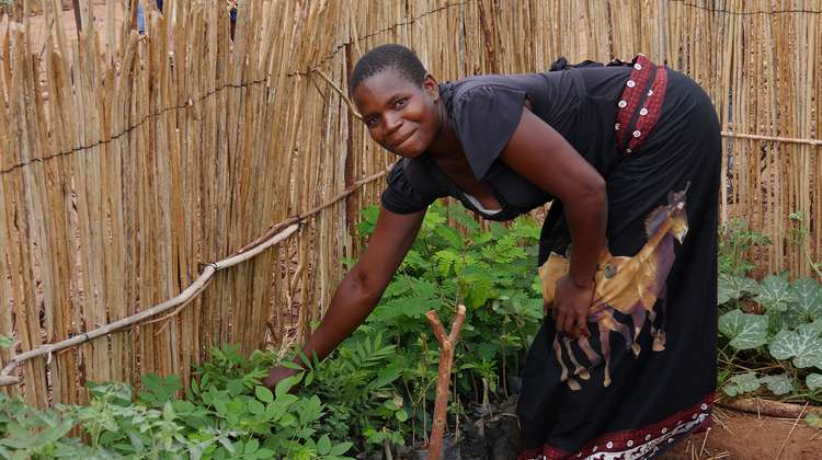 Hilfe für Malawi - jetzt spenden! Bild: Eine Frau im Garten