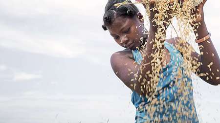 Frau schüttet einen Korb Reis aus