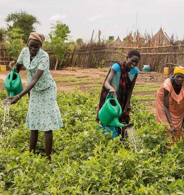 Frauen bewässern ein Feld, Südsudan, 2017.
