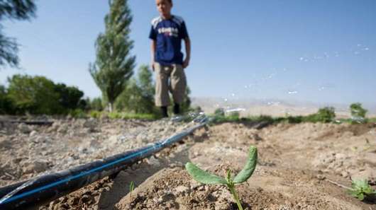 Bewässerungssysteme für bessere Ernten in Tadschikistan - für eine vielseitigere und stabilere Ernährungslage - jetzt für die Menschen in Tadschikistan spenden.