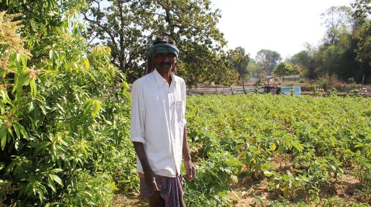 Ganeshwar Madi steht auf seinem Gemüsefeld, Malkangiri, Indien, 2023