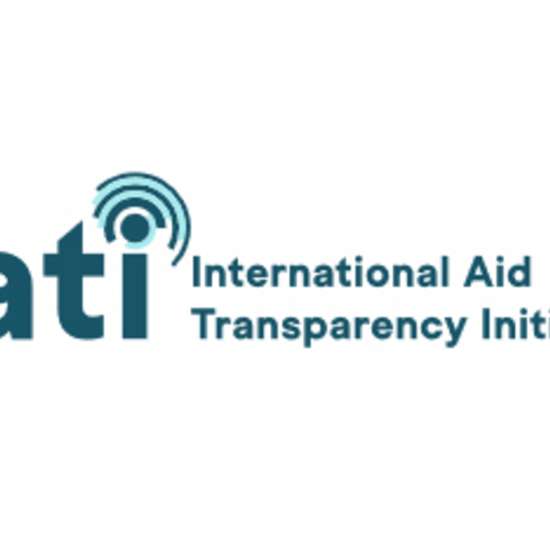 Logo: IATI