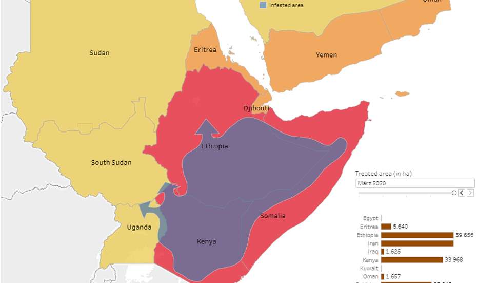 Eine Landkarte von Ostafrika mit der eingezeichneten Verbreitung der Heuschrecken.