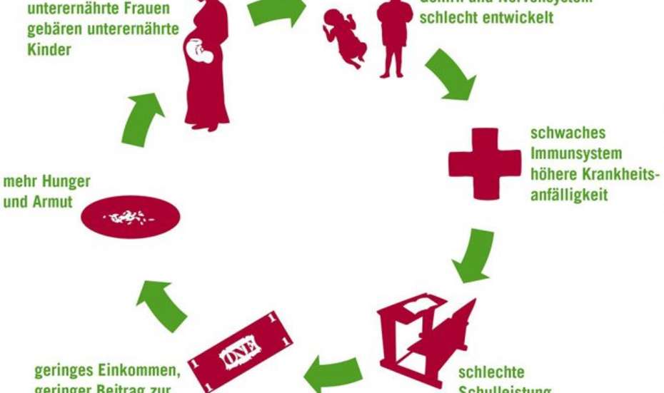 Infografik zum Teufelskreis Unterernährung
