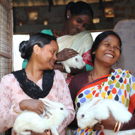 Drei Frauen halten weiße Kaninchen in den Händen und lächeln.