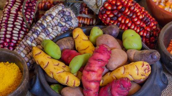 Ein Korb voller bunter Lebensmittel, Peru und Bolivien. 