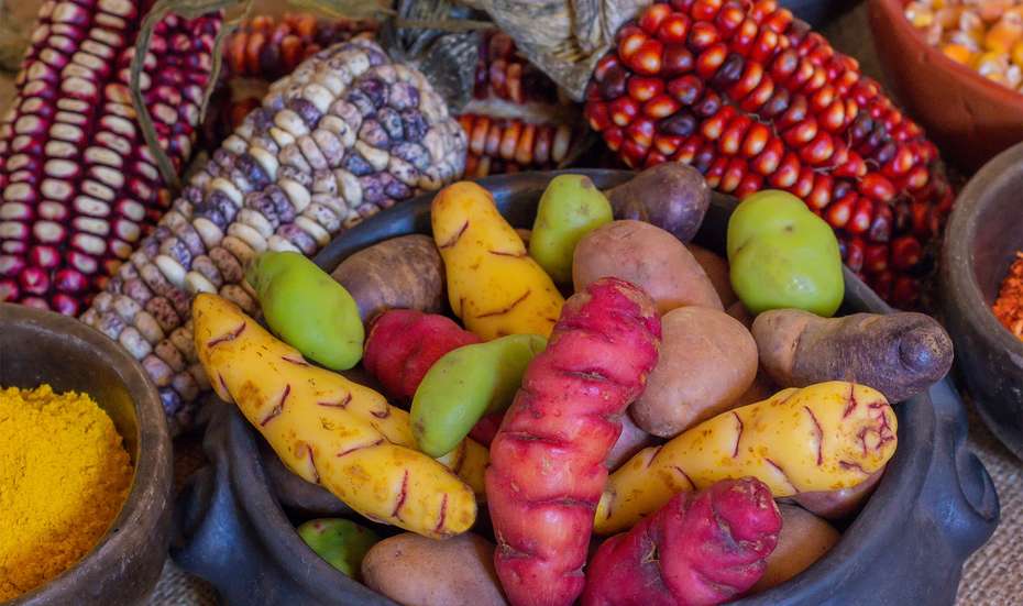 Die Familien in Bolivien können Ernteüberschüsse auf lokalen Märkten verkaufen - mit Ihrer Hilfe für Bolivien unterstützen Sie die arme Bevölkerung.