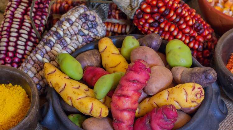 Die Familien in Bolivien können Ernteüberschüsse auf lokalen Märkten verkaufen - mit Ihrer Hilfe für Bolivien unterstützen Sie die arme Bevölkerung.