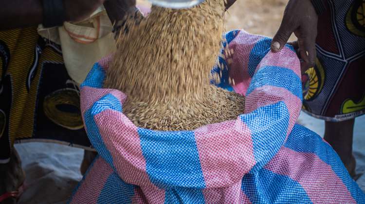Getreide wird in einem Sack abgefüllt, Burkina Faso 2018.