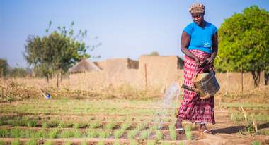 Eine Frau bewässert ein Feld in Burkina Faso.