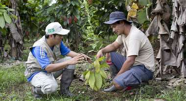 Lucio Bravo und Willy Miguel Sanchez mit einer Kakaopflanze